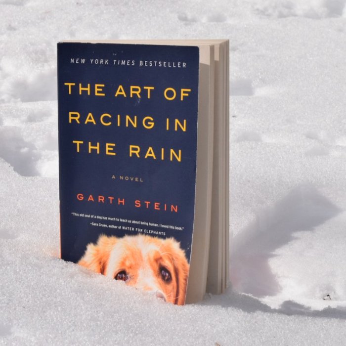 Quotes rain racing book